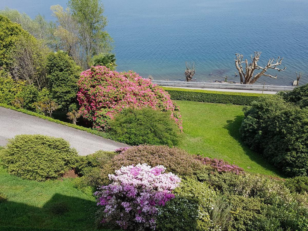 Bmp Apartment Gioiosa 1 Terrazza Vista Lago Belgirate Eksteriør billede